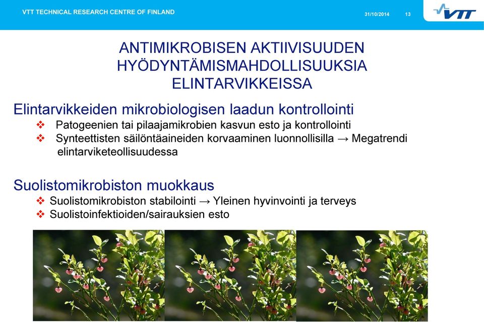 Synteettisten säilöntäaineiden korvaaminen luonnollisilla Megatrendi elintarviketeollisuudessa