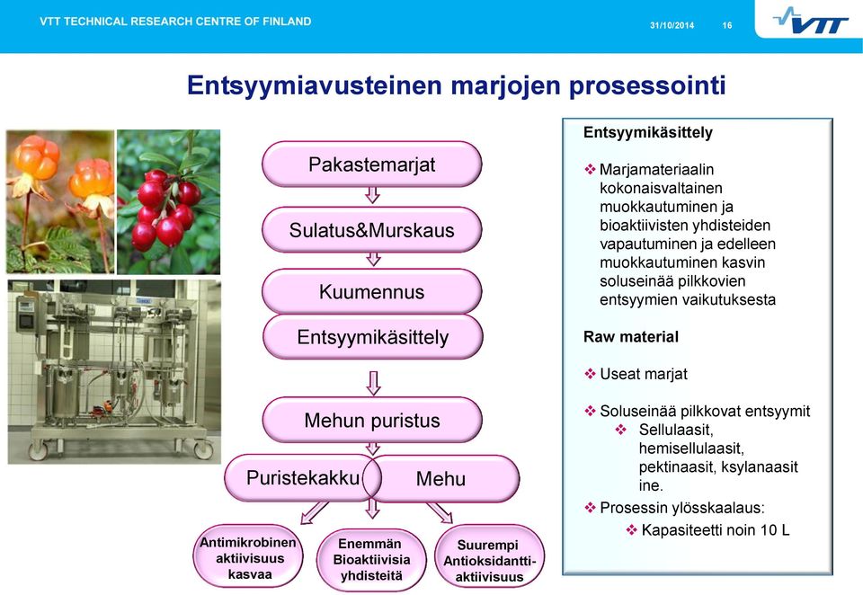 vaikutuksesta Raw material Useat marjat Puristekakku Antimikrobinen aktiivisuus kasvaa Mehun puristus Enemmän Bioaktiivisia yhdisteitä Mehu Suurempi