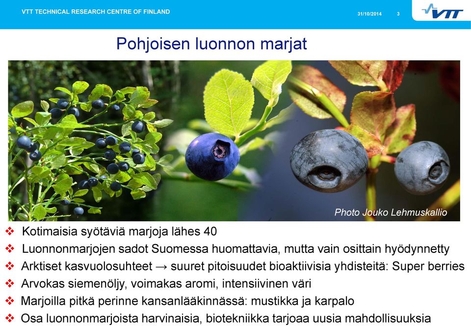 pitoisuudet bioaktiivisia yhdisteitä: Super berries Arvokas siemenöljy, voimakas aromi, intensiivinen väri