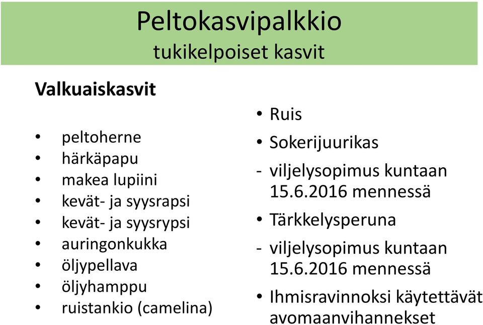 (camelina) Ruis Sokerijuurikas - viljelysopimus kuntaan 15.6.