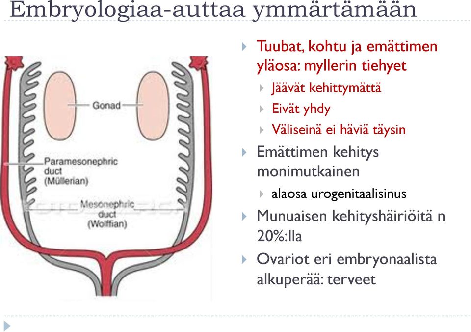 täysin Emättimen kehitys monimutkainen alaosa urogenitaalisinus