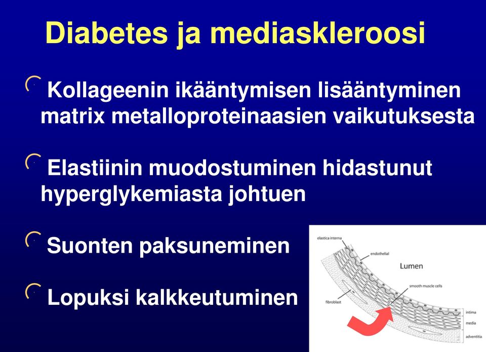 vaikutuksesta Elastiinin muodostuminen hidastunut