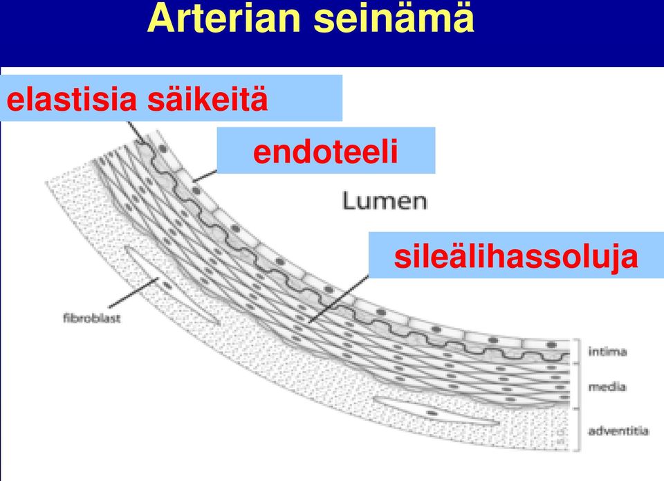 elastisia