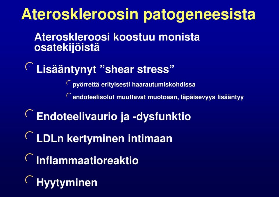 haarautumiskohdissa endoteelisolut muuttavat muotoaan, läpäisevyys