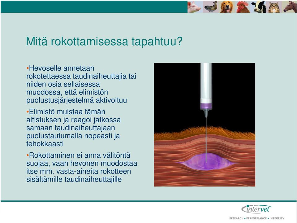 puolustusjärjestelmä aktivoituu Elimistö muistaa tämän altistuksen ja reagoi jatkossa samaan