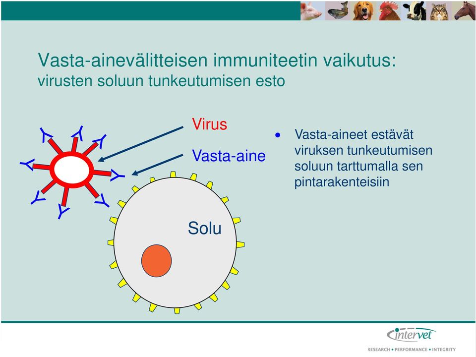 asta-aine asta-aineet estävät viruksen