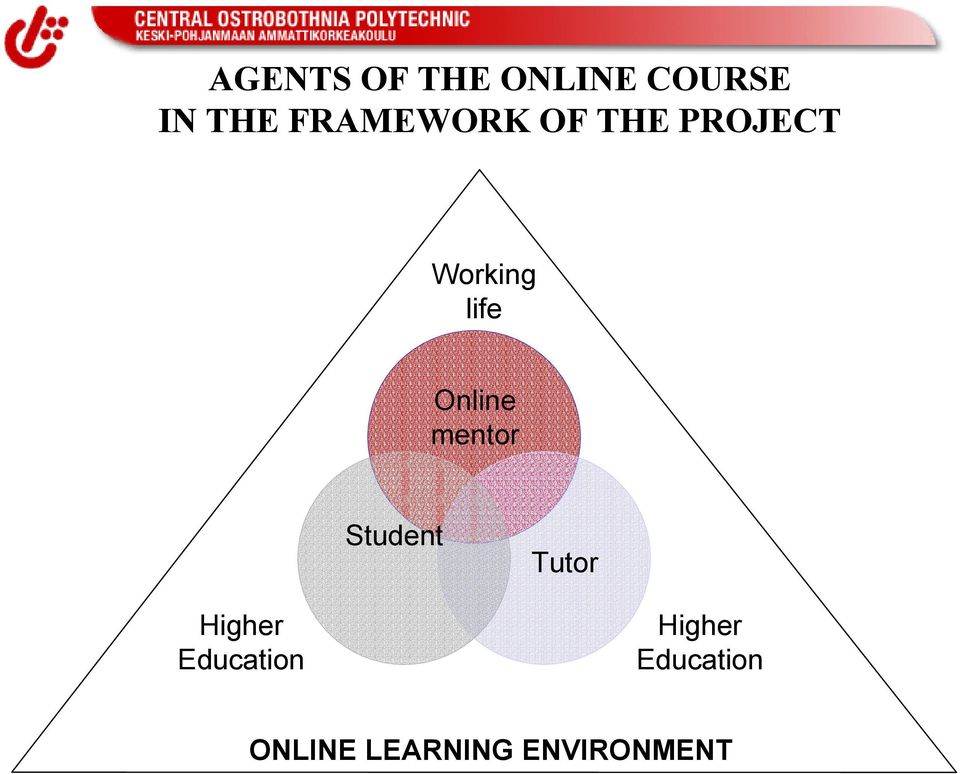 Online mentor Student Tutor Higher