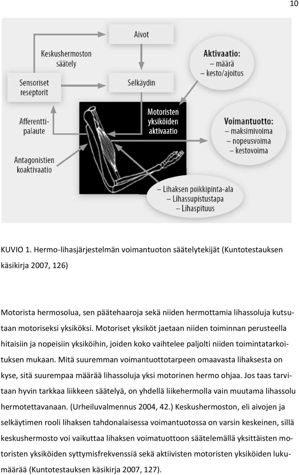 Motoriset yksiköt jaetaan niiden toiminnan perusteella hitaisiin ja nopeisiin yksiköihin, joiden koko vaihtelee paljolti niiden toimintatarkoituksen mukaan.