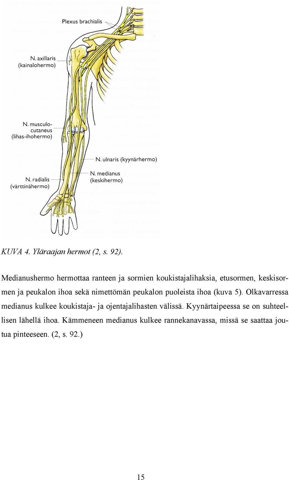 ihoa sekä nimettömän peukalon puoleista ihoa (kuva 5).