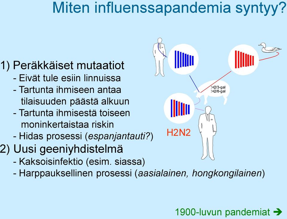 päästä alkuun - Tartunta ihmisestä toiseen moninkertaistaa riskin - Hidas prosessi