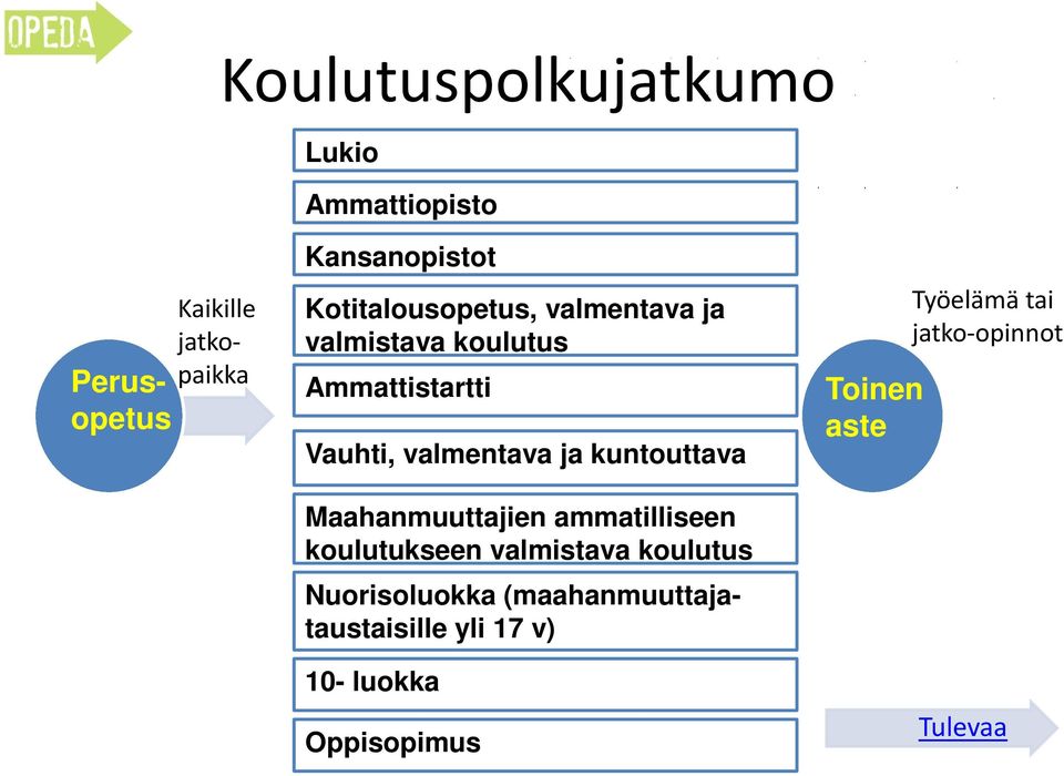 kuntouttava Maahanmuuttajien ammatilliseen koulutukseen valmistava koulutus Nuorisoluokka