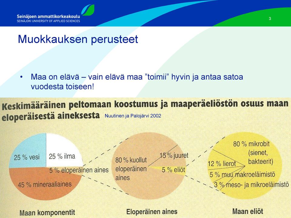 hyvin ja antaa satoa vuodesta