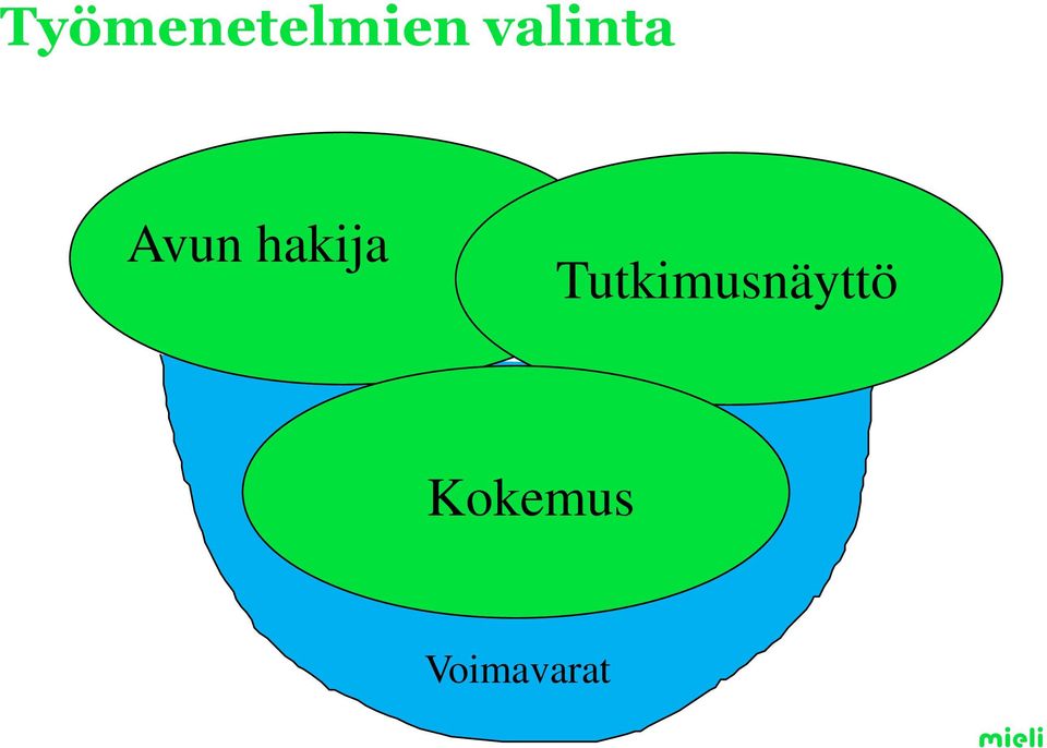 Tutkimusnäyttö