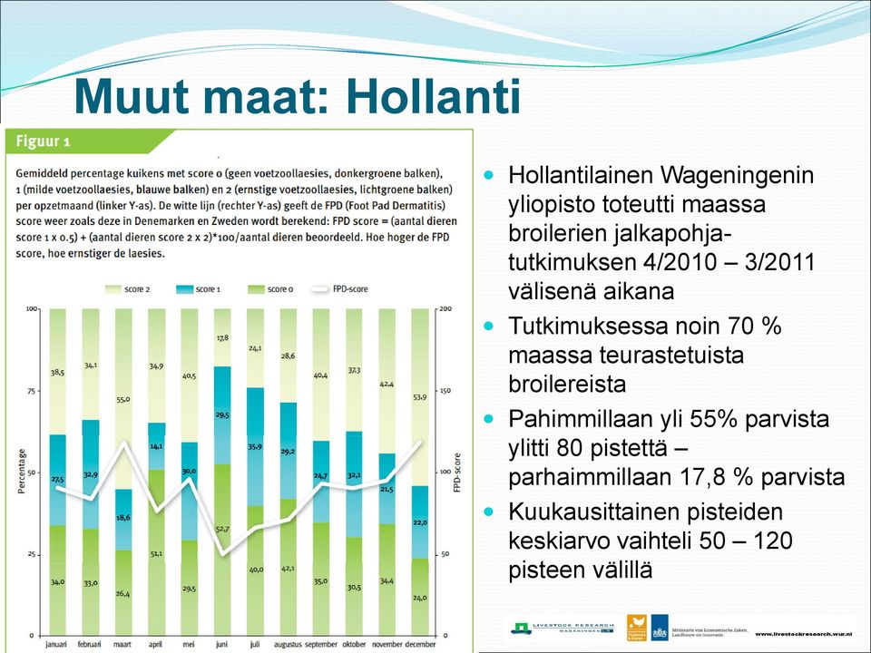 teurastetuista broilereista Pahimmillaan yli 55% parvista ylitti 80 pistettä