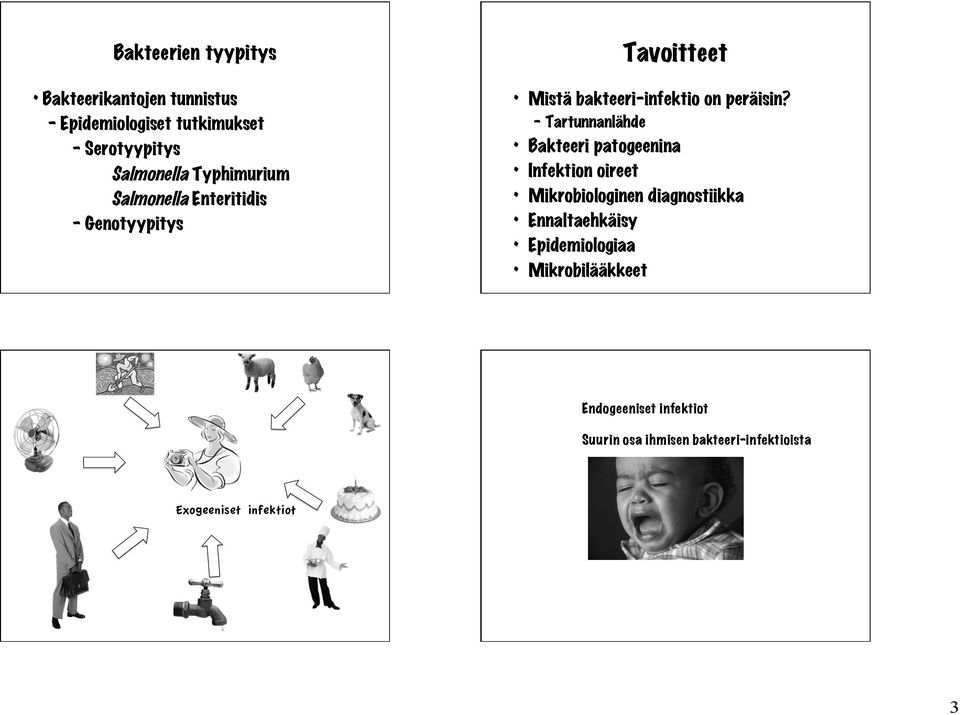 Tartunnanlähde Bakteeri patogeenina Infektion oireet Mikrobiologinen diagnostiikka Ennaltaehkäisy