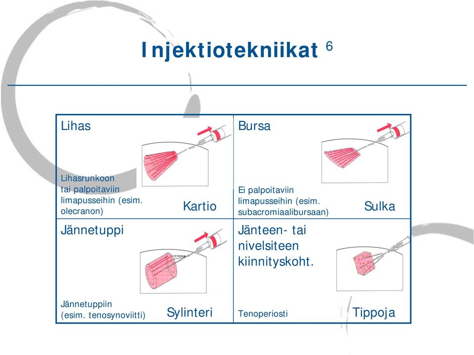 olecranon) Kartio Ei palpoitaviin  subacromiaalibursaan) Sulka