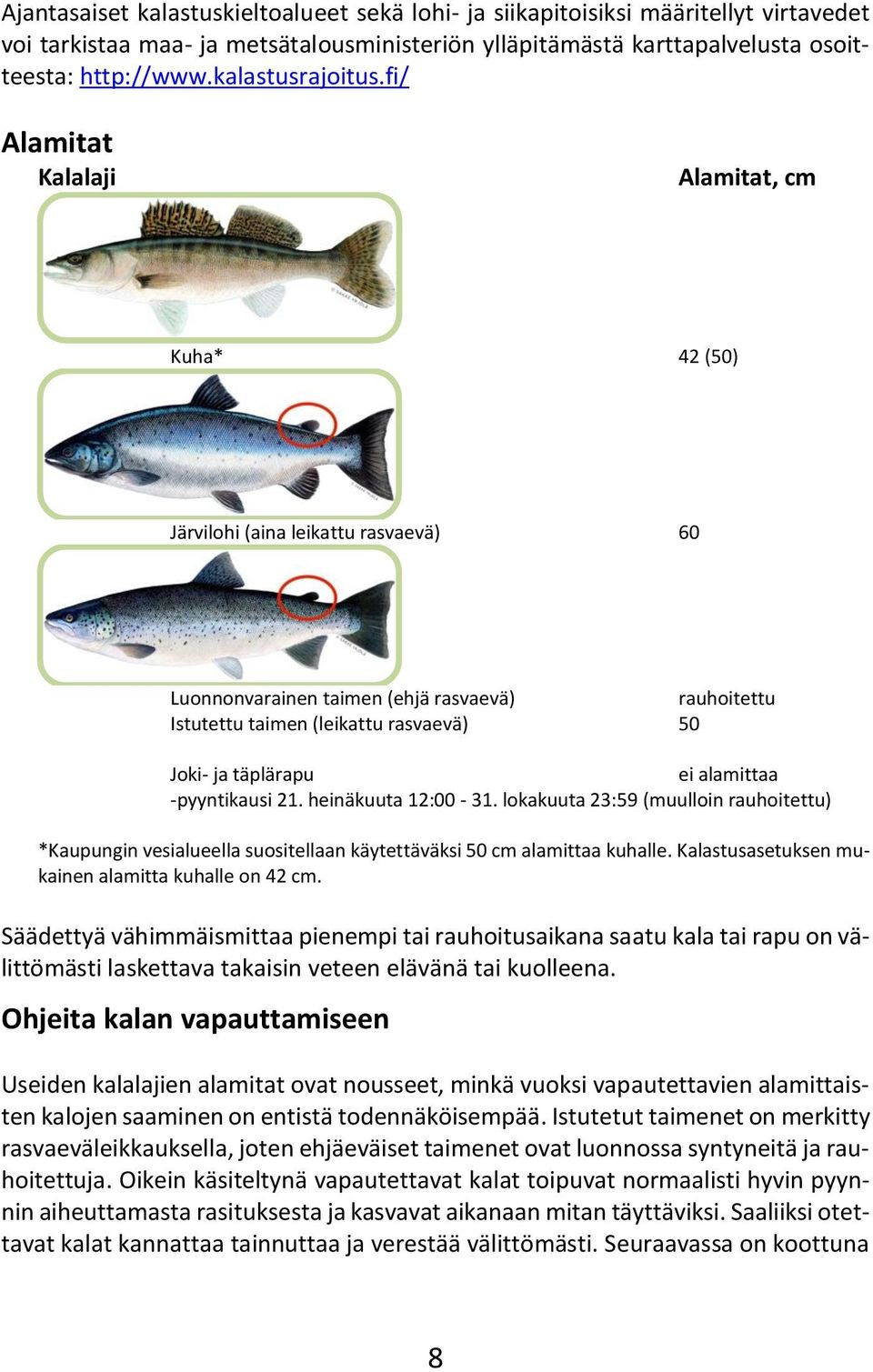 fi/ Alamitat Kalalaji Alamitat, cm Kuha* 42 (50) Järvilohi (aina leikattu rasvaevä) 60 Luonnonvarainen taimen (ehjä rasvaevä) rauhoitettu Istutettu taimen (leikattu rasvaevä) 50 Joki- ja täplärapu ei