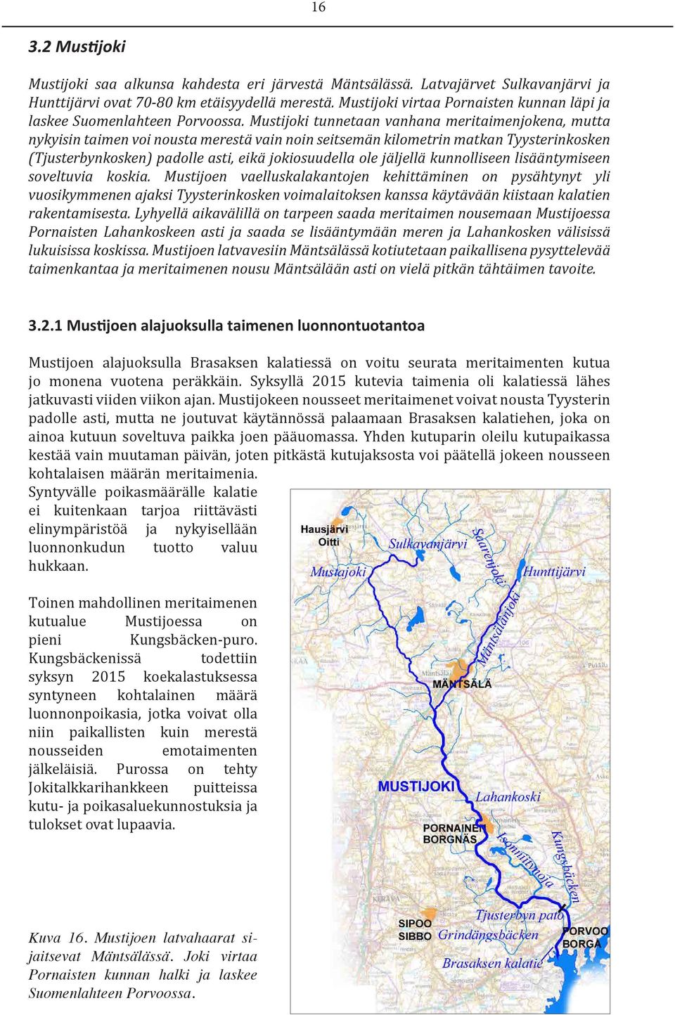 Mustijoki tunnetaan vanhana meritaimenjokena, mutta nykyisin taimen voi nousta merestä vain noin seitsemän kilometrin matkan Tyysterinkosken (Tjusterbynkosken) padolle asti, eikä jokiosuudella ole