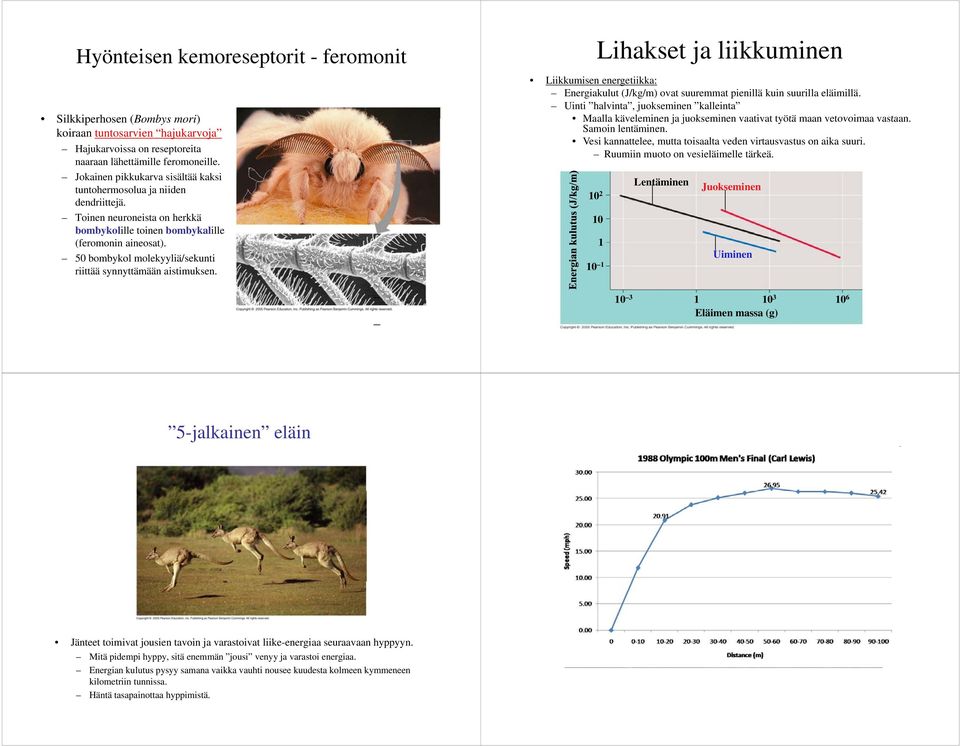 50b bombykol bklmolekyyliä/sekunti lk liä/ k i riittää synnyttämään aistimuksen.