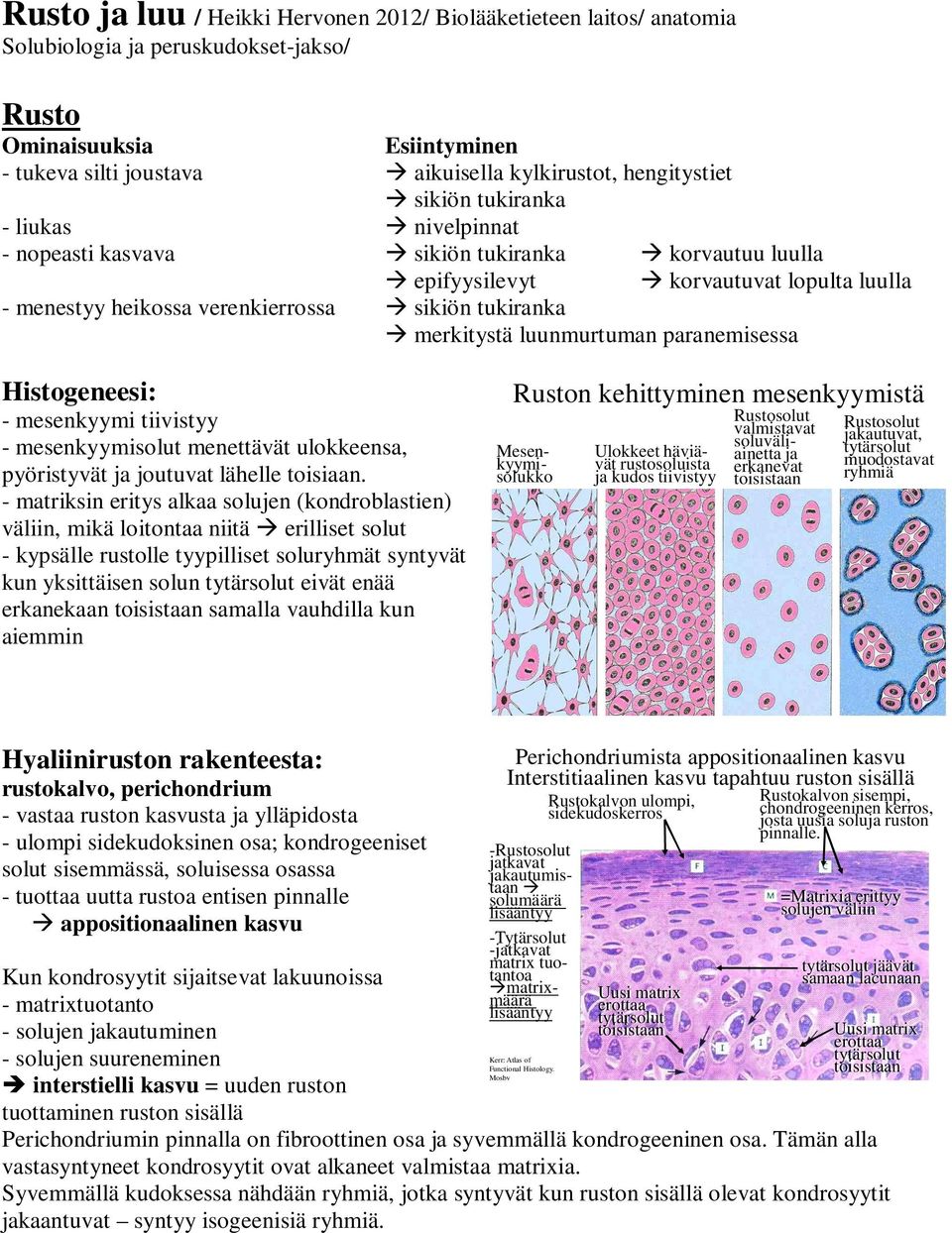 merkitystä luunmurtuman paranemisessa Histogeneesi: - mesenkyymi tiivistyy - mesenkyymisolut menettävät ulokkeensa, pyöristyvät ja joutuvat lähelle toisiaan.