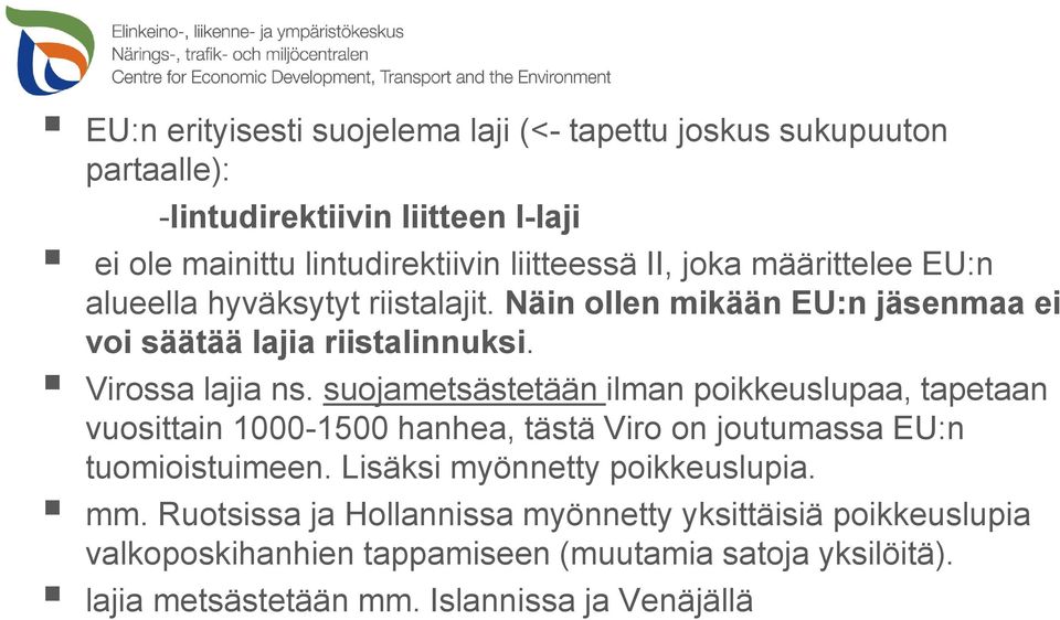 suojametsästetään ilman poikkeuslupaa, tapetaan vuosittain 1000-1500 hanhea, tästä Viro on joutumassa EU:n tuomioistuimeen. Lisäksi myönnetty poikkeuslupia.