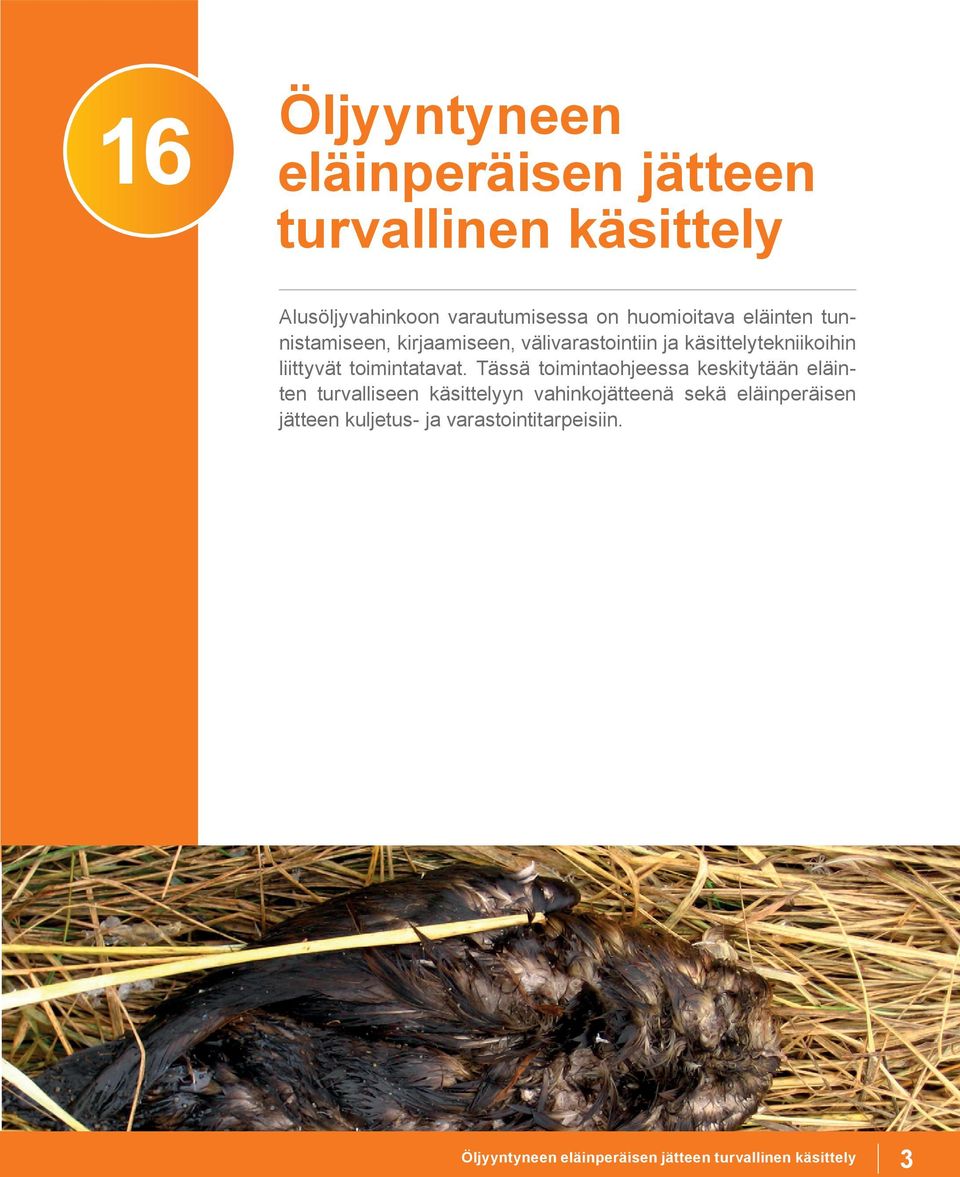 toimintatavat.