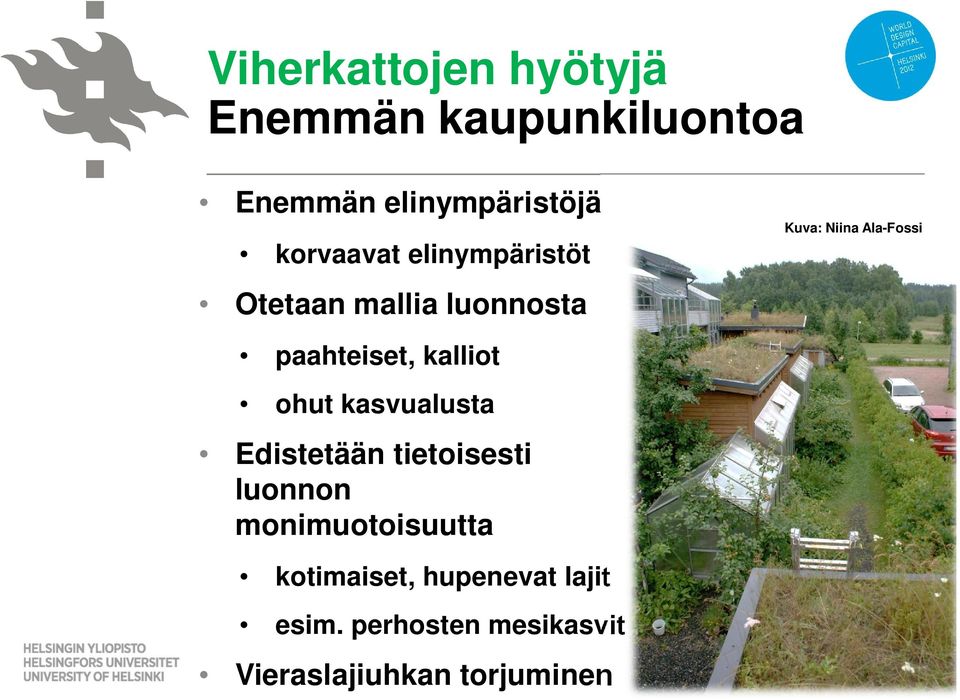 ohut kasvualusta Edistetään tietoisesti luonnon monimuotoisuutta kotimaiset,