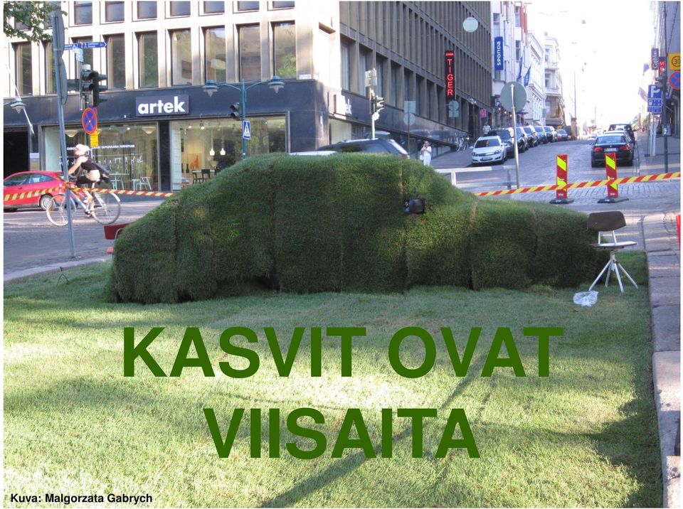 VIISAITA Osasto /