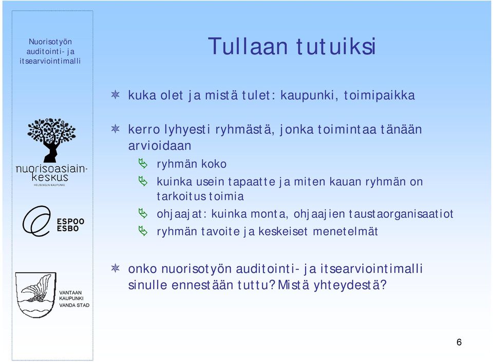 kauan ryhmän on tarkoitus toimia ohjaajat: kuinka monta, ohjaajien taustaorganisaatiot