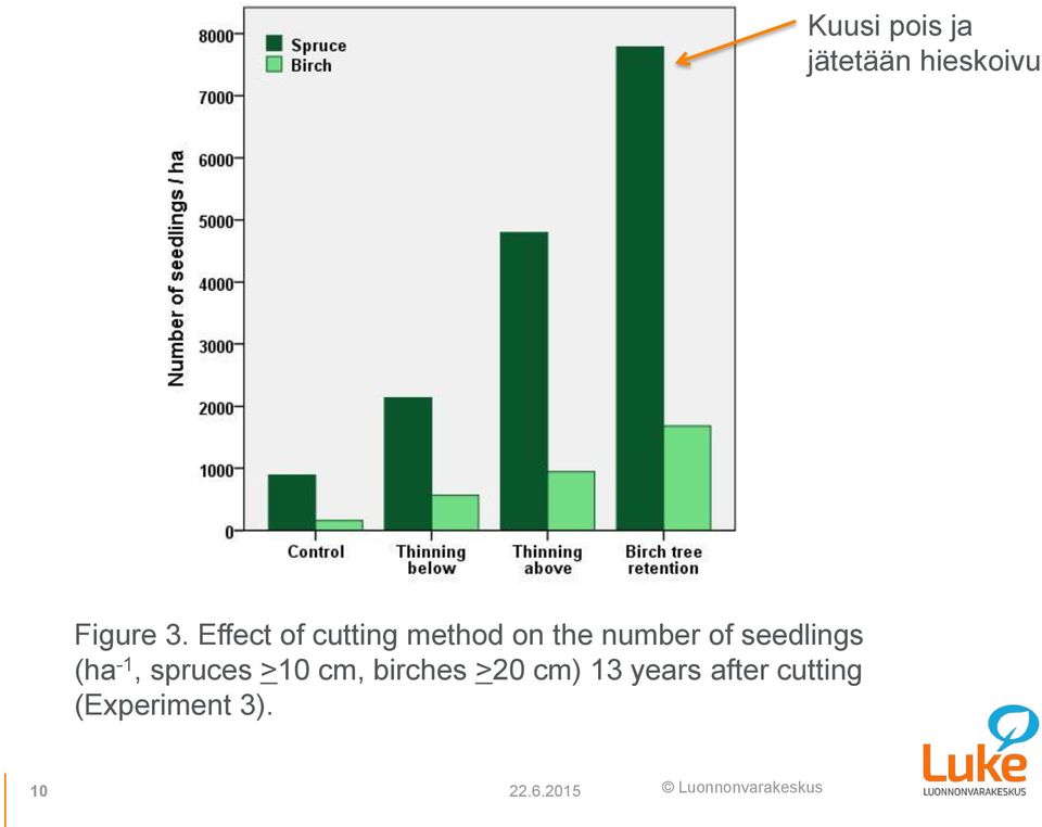 seedlings (ha -1, spruces >10 cm, birches >20