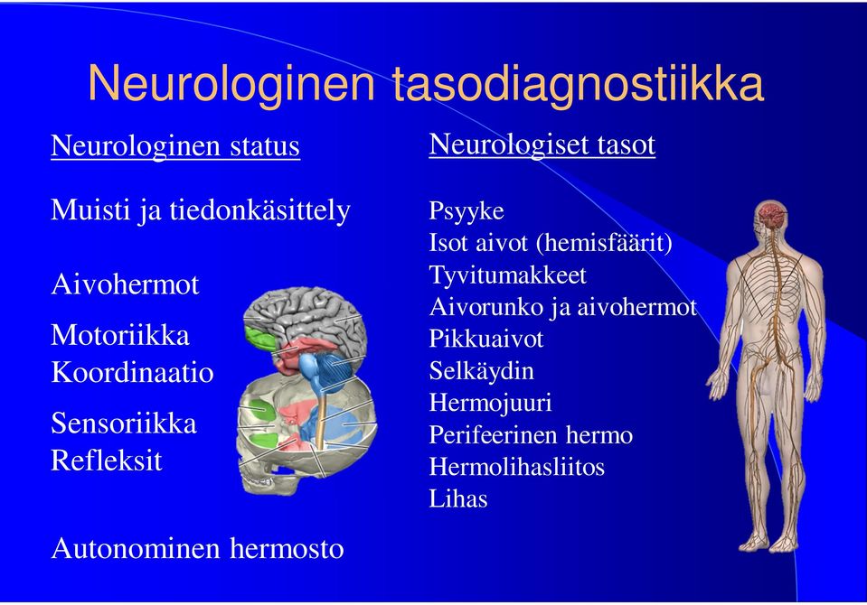 Neurologiset tasot Psyyke Isot aivot (hemisfäärit) Tyvitumakkeet Aivorunko ja