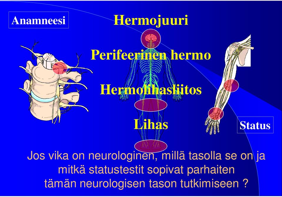 neurologinen, millä tasolla se on ja mitkä