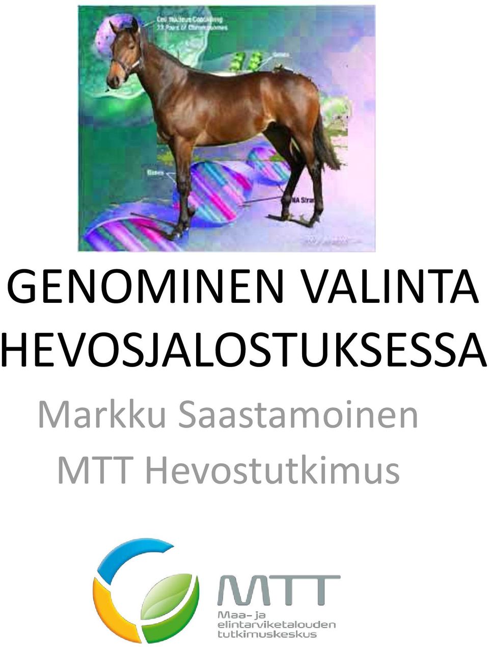 Markku