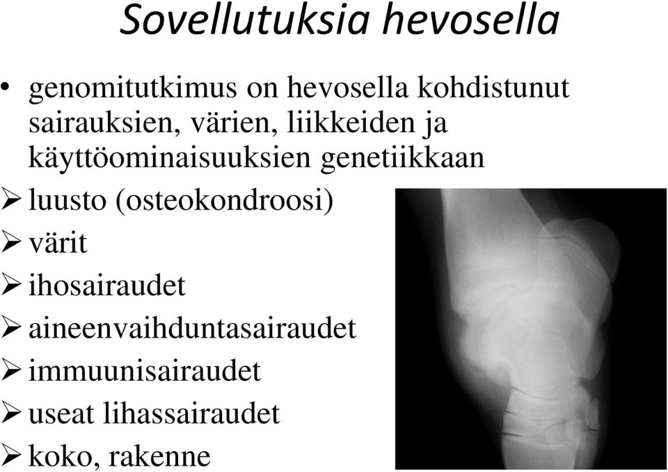 käyttöominaisuuksien genetiikkaan luusto (osteokondroosi)