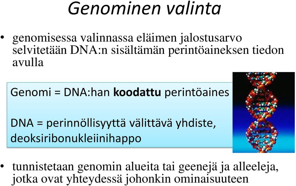 DNA = perinnöllisyyttä välittävä yhdiste, deoksiribonukleiinihappo tunnistetaan