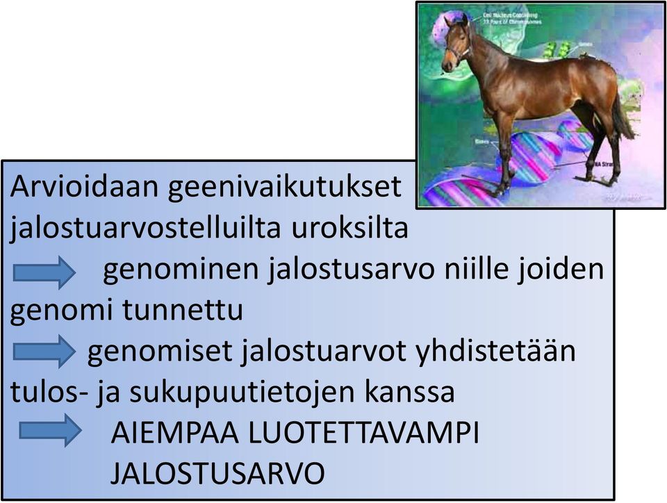 tunnettu genomiset jalostuarvot yhdistetään tulos- ja