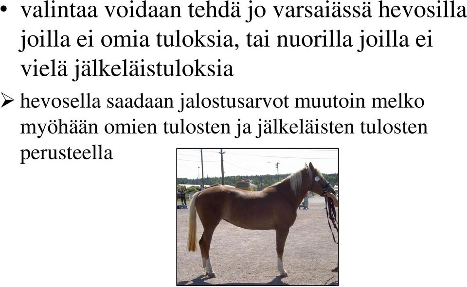 jälkeläistuloksia hevosella saadaan jalostusarvot