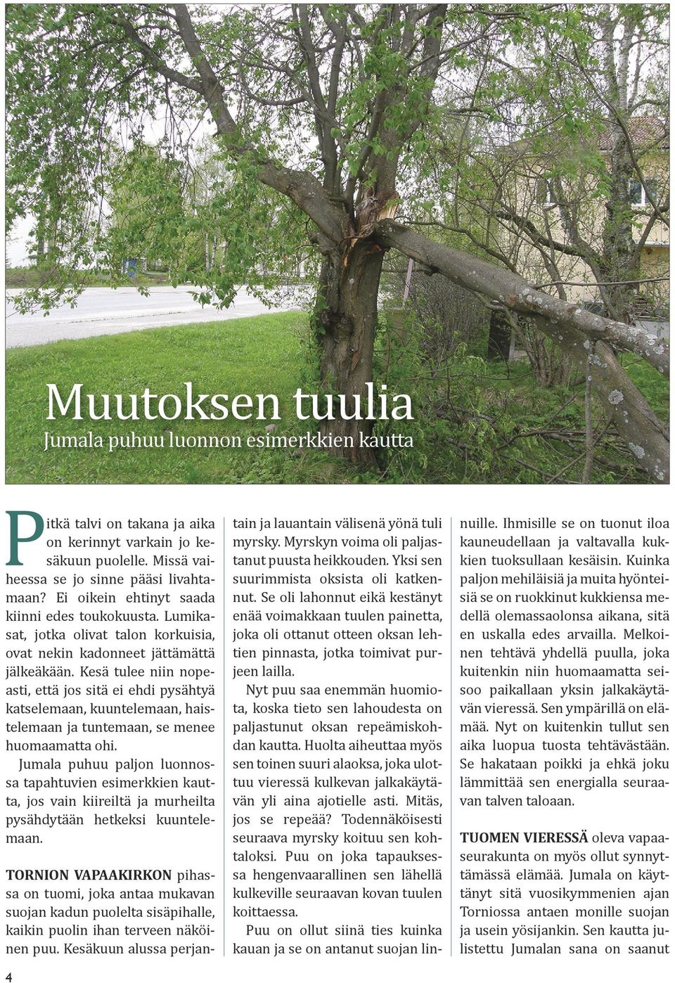 Kesä tulee niin nopeasti, että jos sitä ei ehdi pysähtyä katselemaan, kuuntelemaan, haistelemaan ja tuntemaan, se menee huomaamatta ohi.