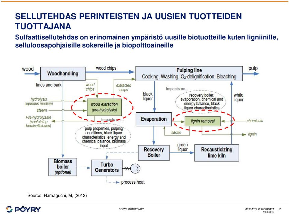 biotuotteille kuten ligniinille, selluloosapohjaisille