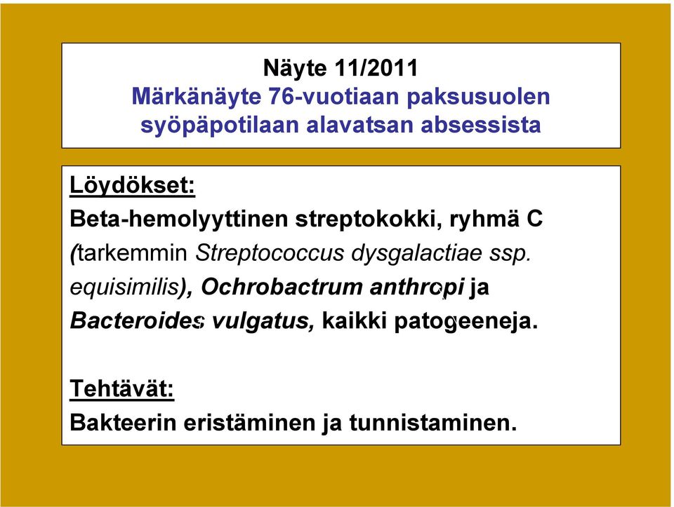 Streptococcus dysgalactiae ssp.