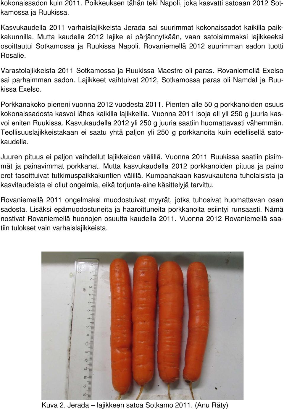 Mutta kaudella 2012 lajike ei pärjännytkään, vaan satoisimmaksi lajikkeeksi osoittautui Sotkamossa ja Ruukissa Napoli. Rovaniemellä 2012 suurimman sadon tuotti Rosalie.