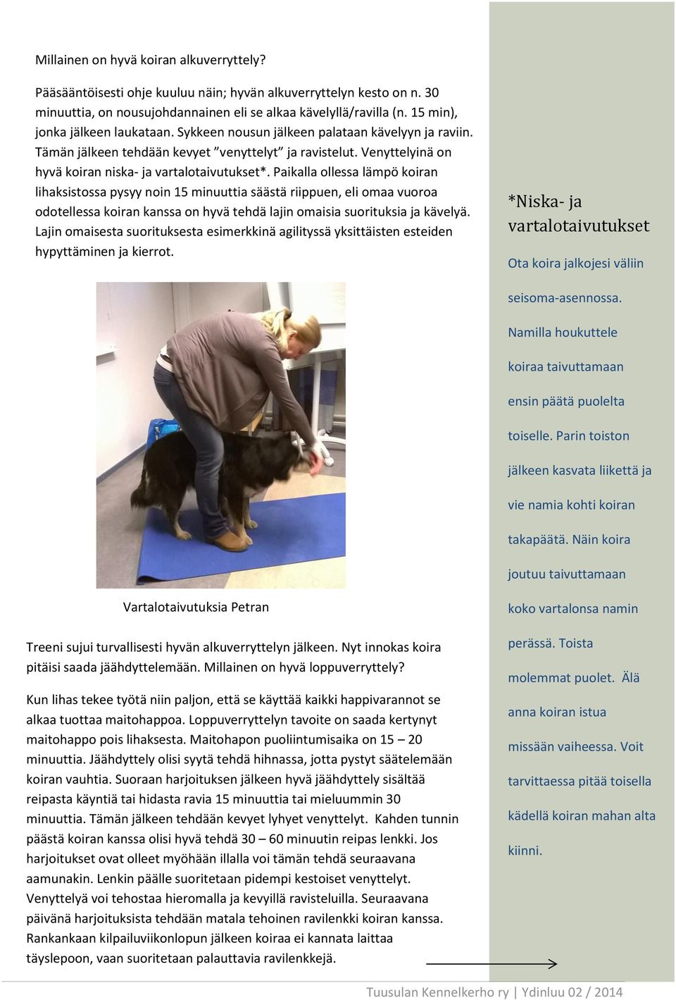 Paikalla ollessa lämpö koiran lihaksistossa pysyy noin 15 minuuttia säästä riippuen, eli omaa vuoroa odotellessa koiran kanssa on hyvä tehdä lajin omaisia suorituksia ja kävelyä.