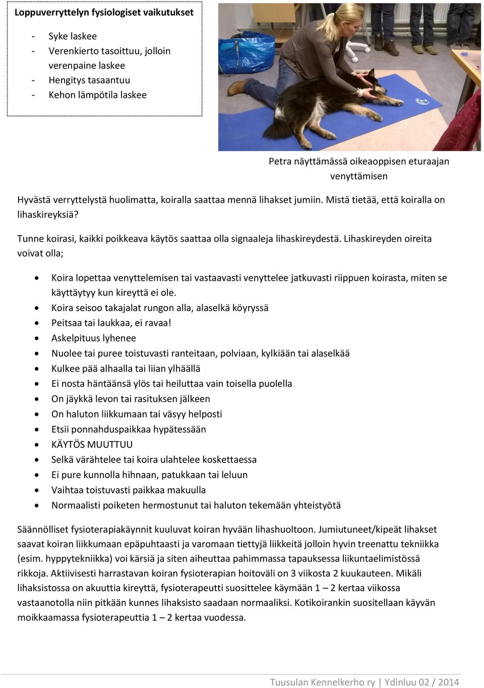 Tunne koirasi, kaikki poikkeava käytös saattaa olla signaaleja lihaskireydestä.