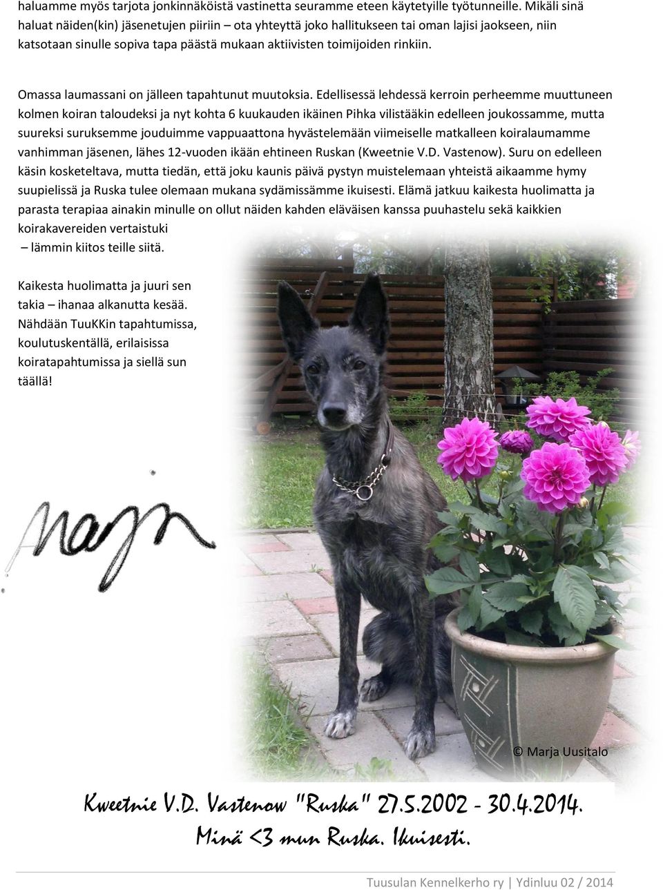 Omassa laumassani on jälleen tapahtunut muutoksia.