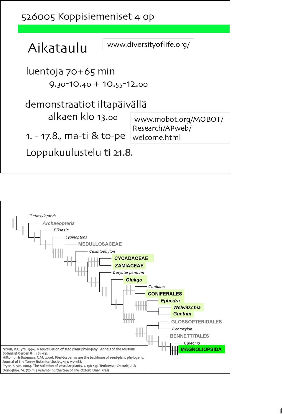 html Tetraxylopteris Archaeopteris Elkinsia Lyginopteris MEDULLOSACEAE L O S A C E A E Callistophyton CYCADACEAE ZAMIACEAE Corystospermum Ginkgo Nixon, K.C. ym. 1994.