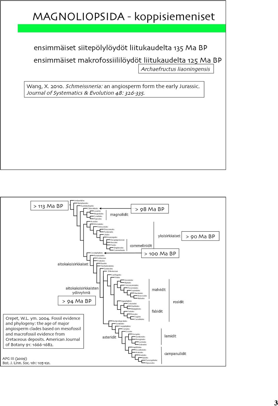 > 113 Ma BP aitokaksisirkkaiset Amborellales Nymphaeales Austrobaileyales C hloranthales Laurales Magnoliales C anellales P iperales Acorales Alismatales P etrosaviales magnolidit Dioscoreales P