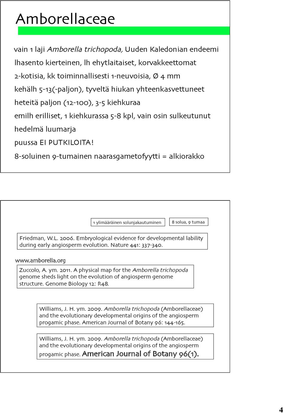 8-soluinen 9-tumainen naarasgametofyytti = alkiorakko 1 ylimääräinen solunjakautuminen 8 solua, 9 tumaa Friedman, W.L. 2006.