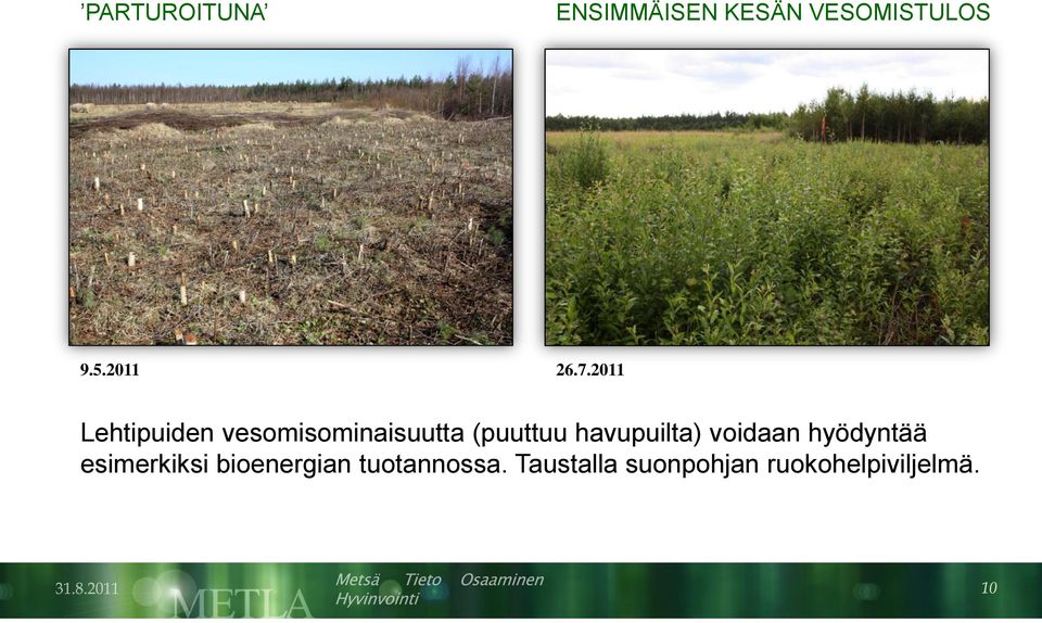 2011 Lehtipuiden vesomisominaisuutta (puuttuu