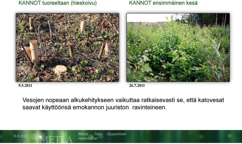 2011 Vesojen nopeaan alkukehitykseen vaikuttaa