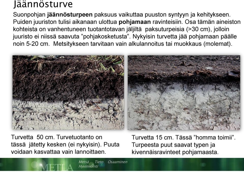 Nykyisin turvetta jää pohjamaan päälle noin 5-20 cm. Metsitykseen tarvitaan vain alkulannoitus tai muokkaus (molemat). Turvetta 50 cm.